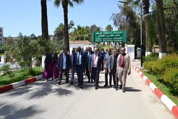 visite-embassade-zimbaboui-211DAB76F7-0B8E-FFA0-A1D9-C762259CCF56.jpg